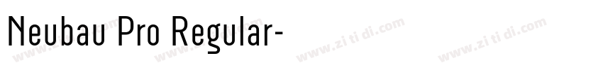 Neubau Pro Regular字体转换 Neubau Pro Regular字体转换
